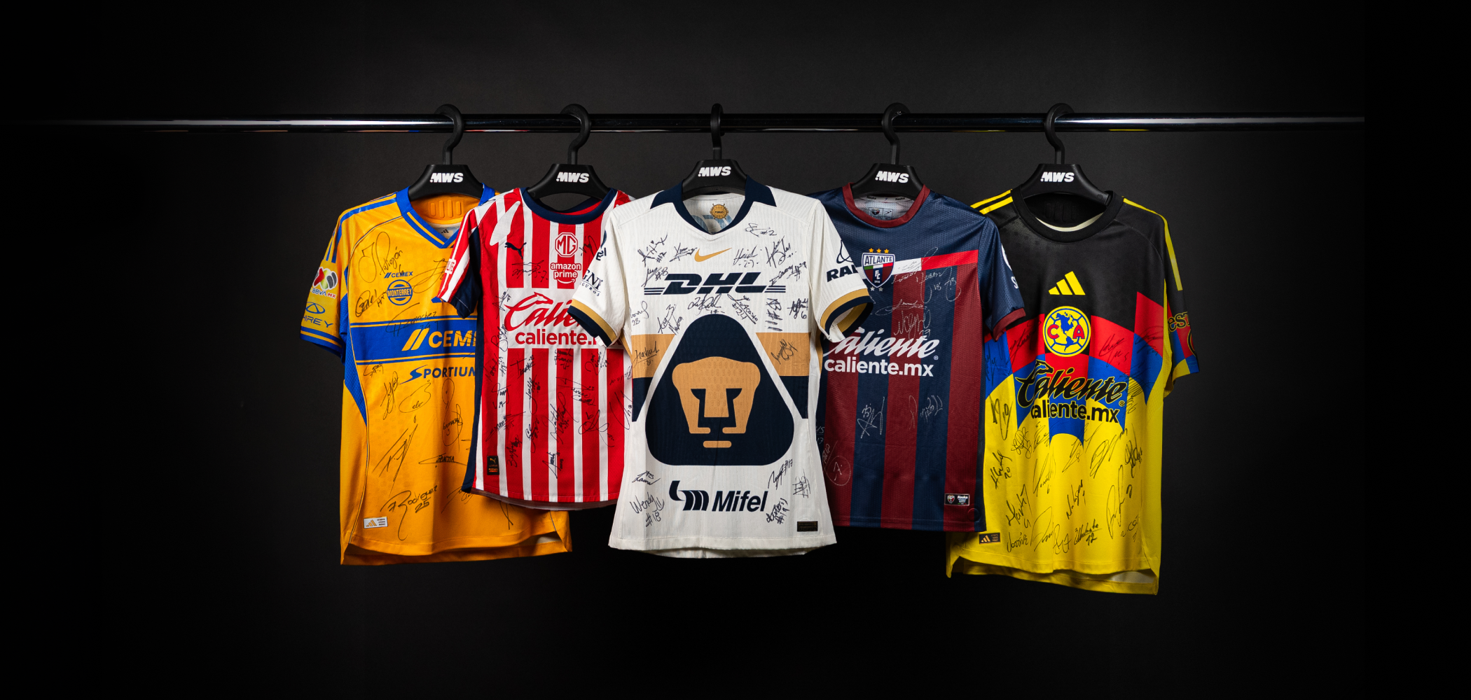 Mexican Federation united for Cancer Research header image