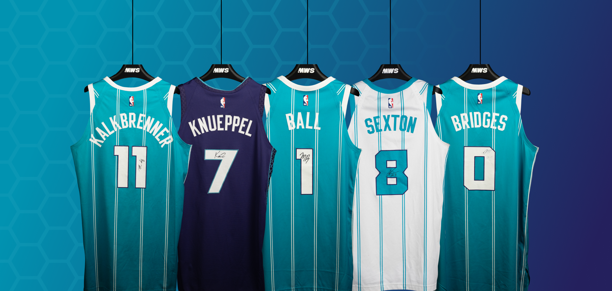 Charlotte Hornets header image