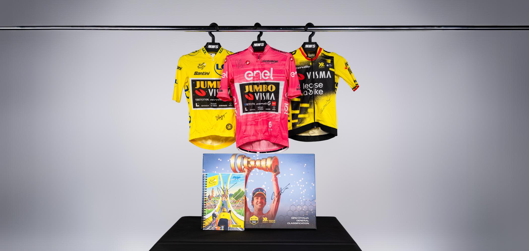 Team Visma | Lease a Bike header image