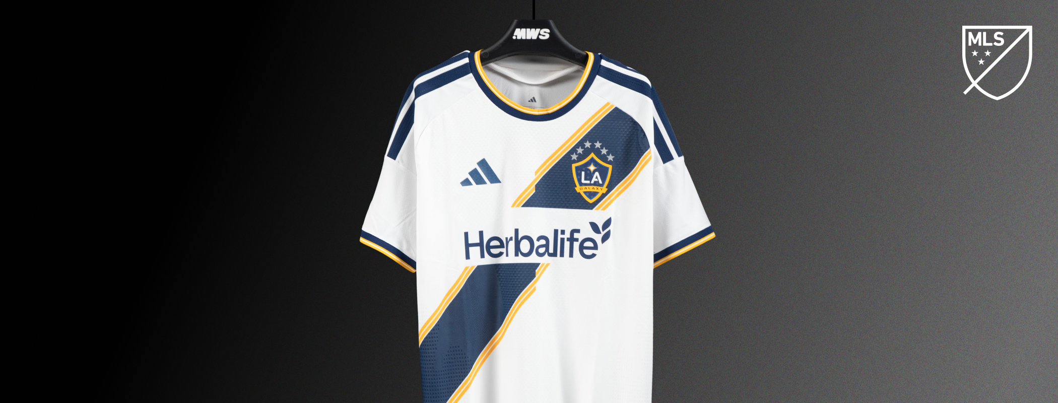 LA Galaxy header image