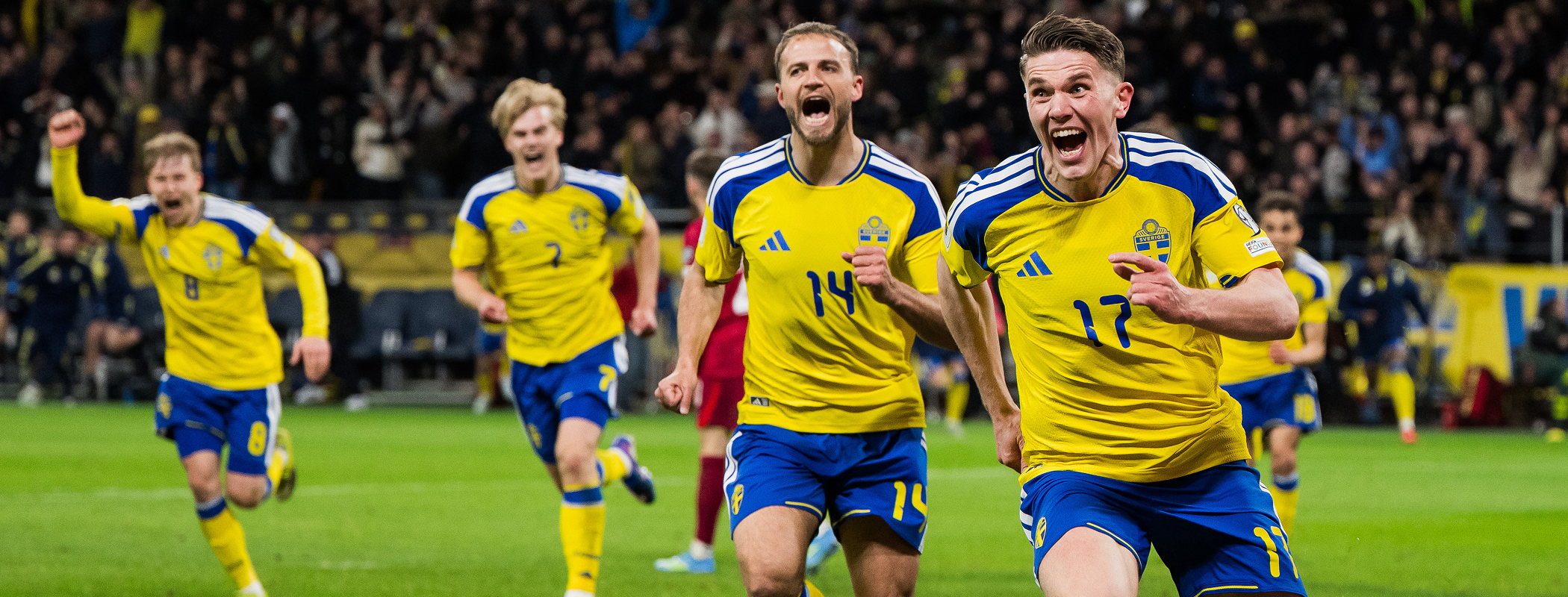 Sweden header image