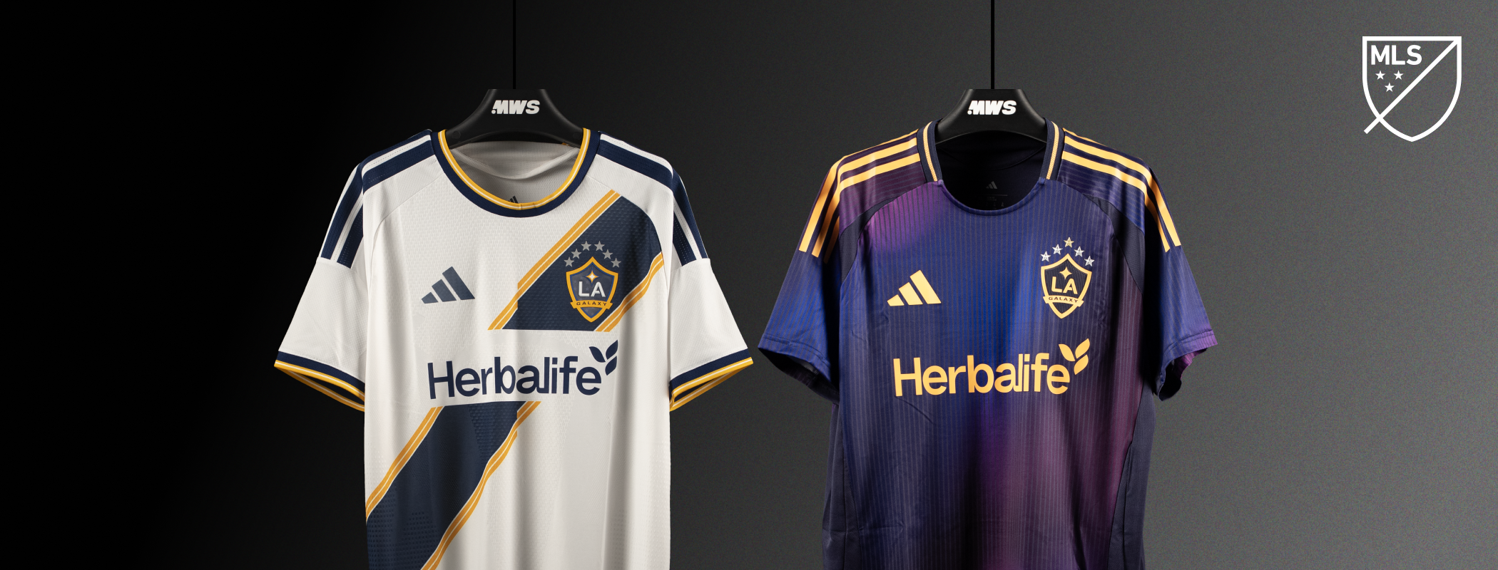 LA Galaxy header image