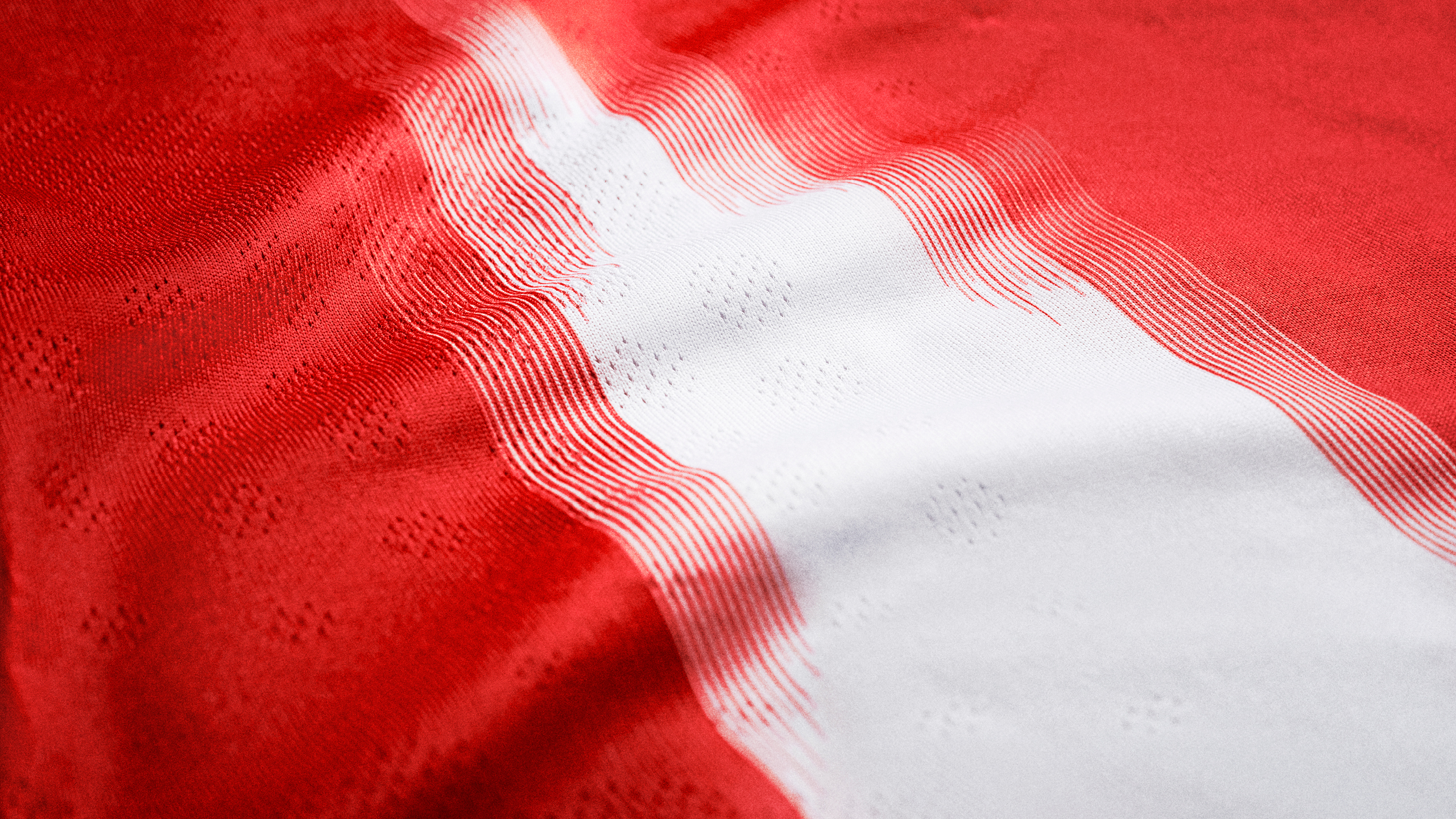 FC Bayern München サイン入りジャージ FC Bayern München サイン入りジャージ